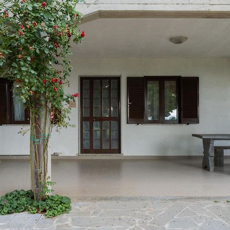 Apartment Rosa Bacara By Interhome Bolsena Kültér fotó